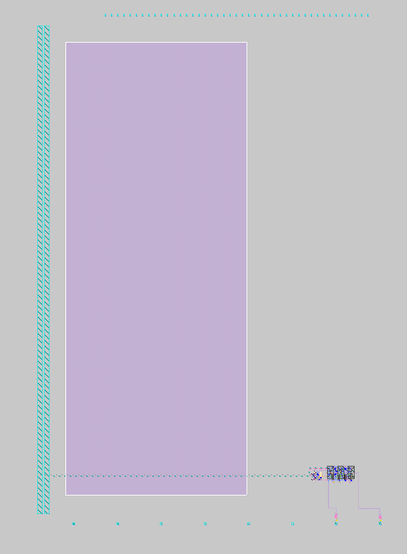 Size Relation compared to Dogbot