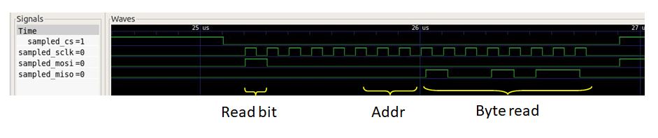 SPI sampled read